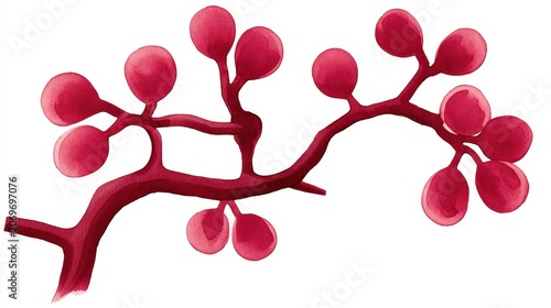 Vibrant Red Branch with Round Fruits in Watercolor Style Design