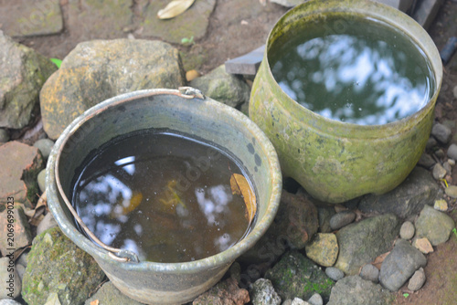 Stagnant Water in Bucket Creating Mosquito Breeding Ground in Unsanitary Environment