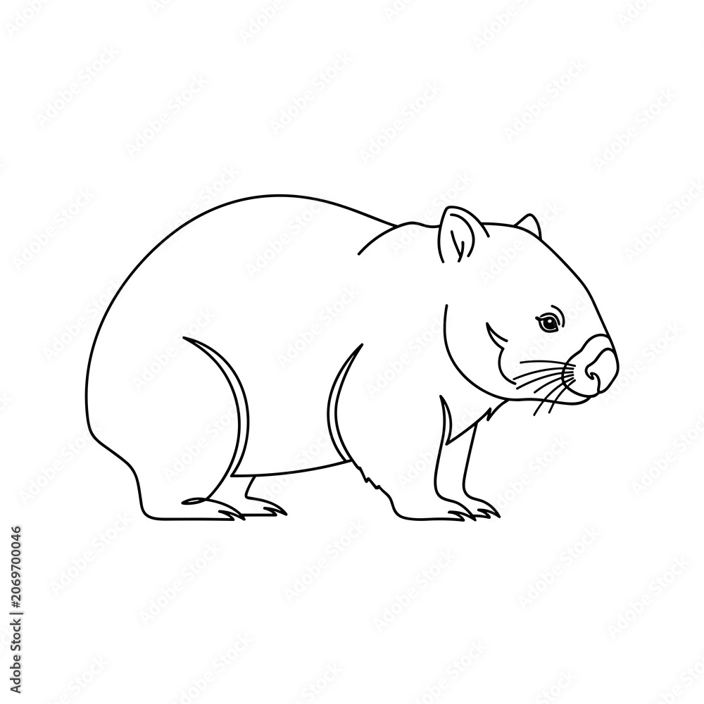 Fototapeta premium Simple Line Art Outline of a Wombat