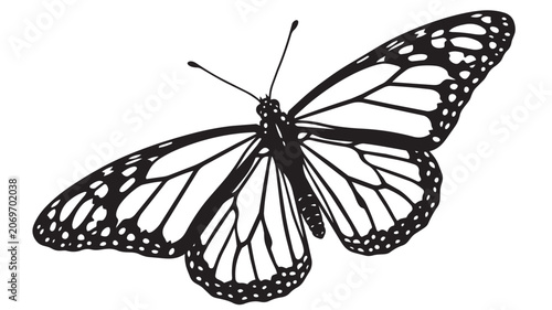 Schilderij op canvas Black and white monarch butterfly line art drawing