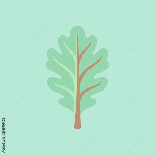 A simple green oak leaf illustration on a mint background