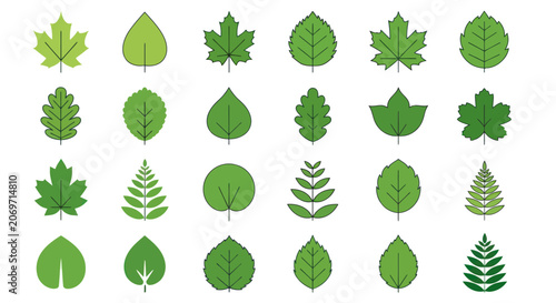 Quadro su tela Collection of various green leaf types.