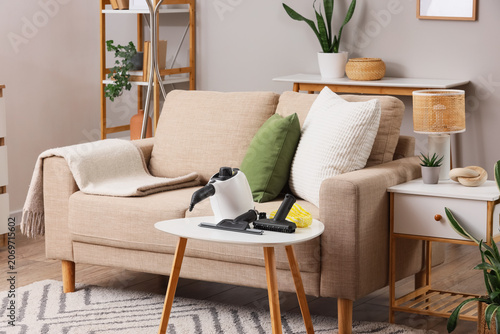 Modern steam cleaner with b...