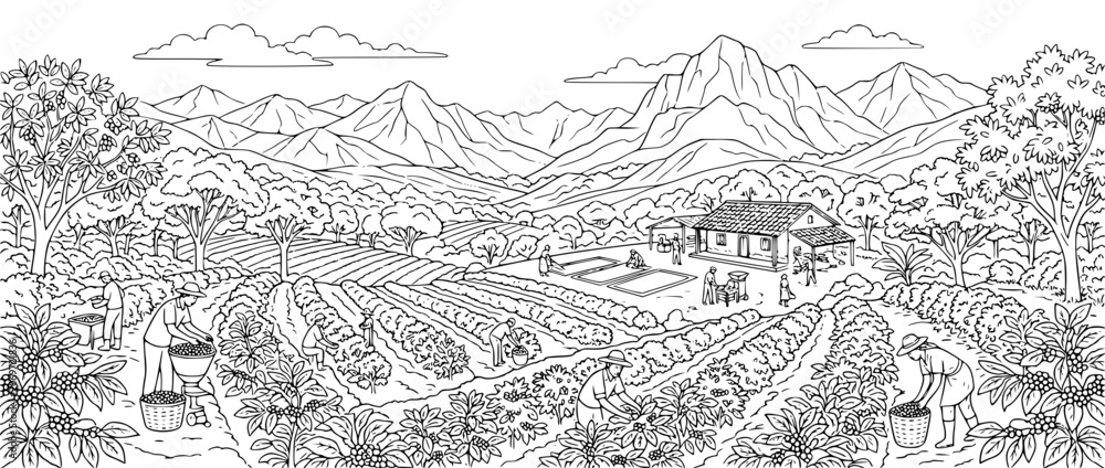 Fototapeta premium Black and white line art of coffee plantation with farmers harvesting beans