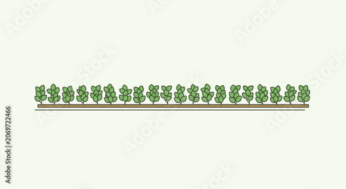 Continuous line of small green bushes in a neat row.
