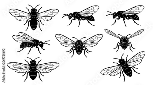 Cuadro en lienzo Set of black bee silhouettes and icons on white background