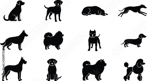 Fotografía Set of black silhouettes of various dog breeds in different poses