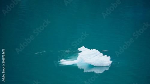 Closeup view of floating icebergs in Alaskan waters