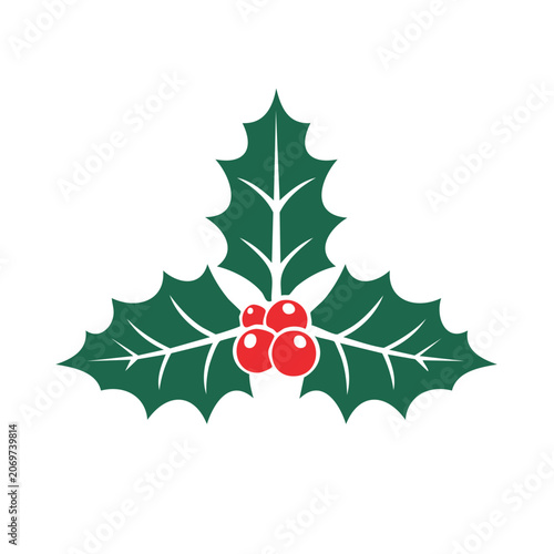 Holly leaf and berries vector illustration