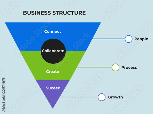 Business structure infographic
