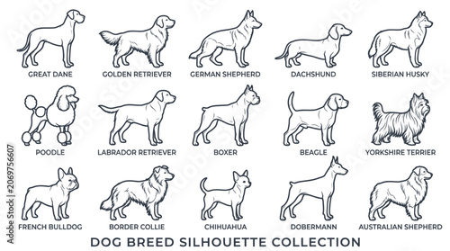 Schilderij op canvas Popular domestic dog breed outlines with labels