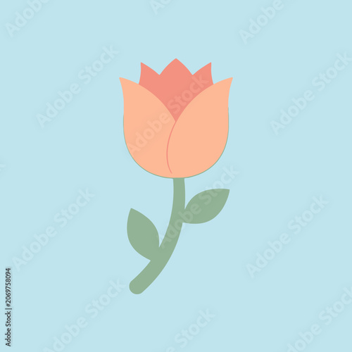 A simple illustration of a single peach flower on blue background