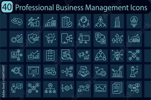Professional Business Management Icons Collection Bundle