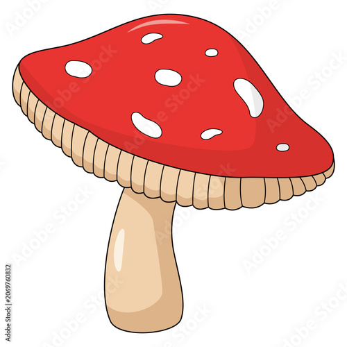 Cartoon amanita muscaria fungus drawing, organic forest plant vector icon, natural toxic toadstool graphics.
