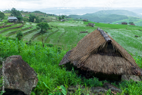Wooden hut cabin and beautiful view terraced rice paddy field in Thailand.