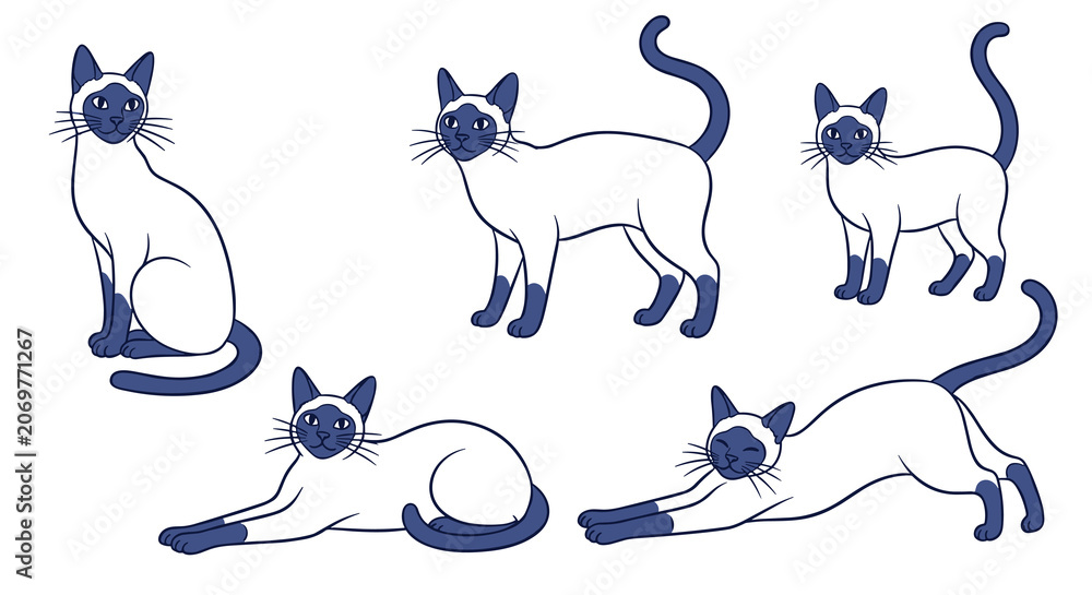 Naklejka premium Collection of stylized siamese cats in various playful poses, simple line art with navy blue accents on a white background, graphic elements for