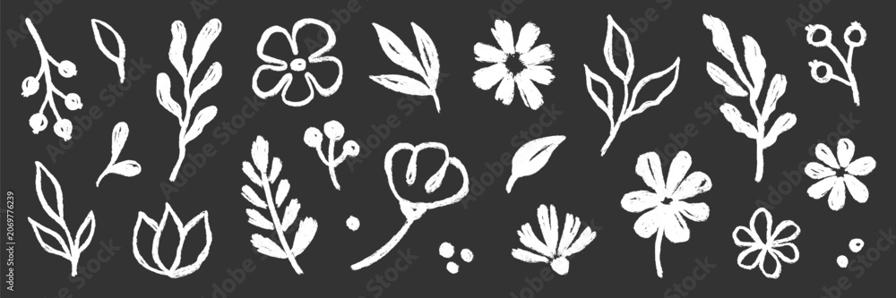 Obraz premium Brush flower leaf paint set. Hand drawn brush flower leaf floral stroke sketch plant doodle nature. Chalkboard blackboard botanical daisy poppy leaves herb summer background. Vector illustration