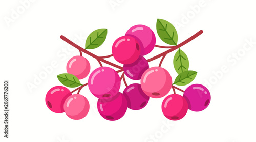 Cluster of Pink Berries on Branch.