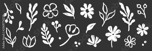 Brush flower leaf paint set. Hand drawn brush flower leaf floral stroke sketch plant doodle nature. Chalkboard blackboard botanical daisy poppy leaves herb summer background. Vector illustration