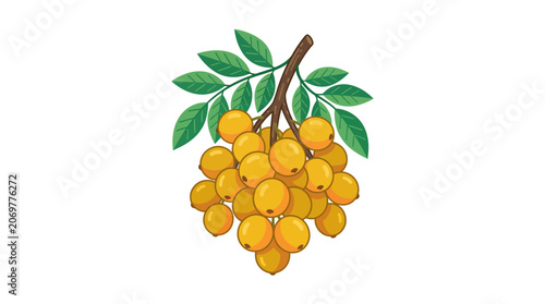 Cluster of Yellow Fruit on Branch.