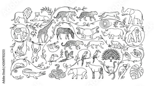 Photography Jungle Animals Vector Collection, detailed line art illustration of diverse wild
