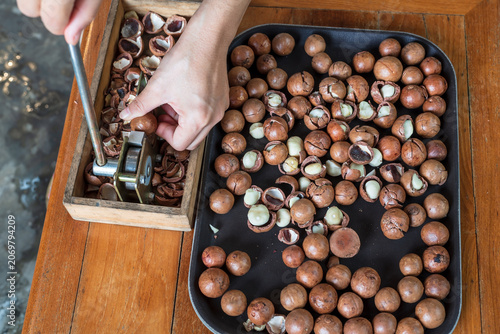 Close up hands and macadamia nuts on plate.