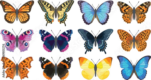 Canvastavla Butterfly Vector Illustration Featuring Colorful Wing Patterns in Orange, Yellow