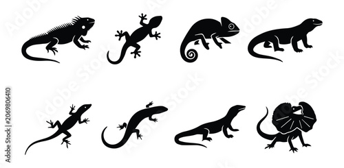 Lizard types set icon Silhouette Vector black design on a white background