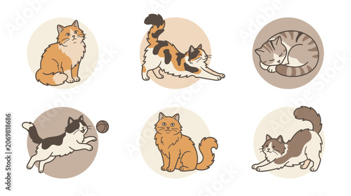 Cute domestic cats in various active and resting poses