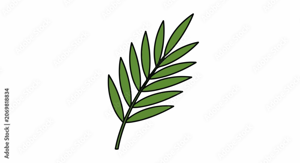 Fototapeta premium A simple cartoon illustration of a green leafy branch with multiple pointed leaves