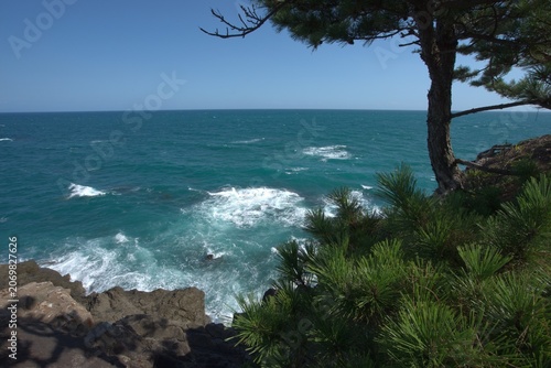 Blue sea cove framed by pine in summer, Japan