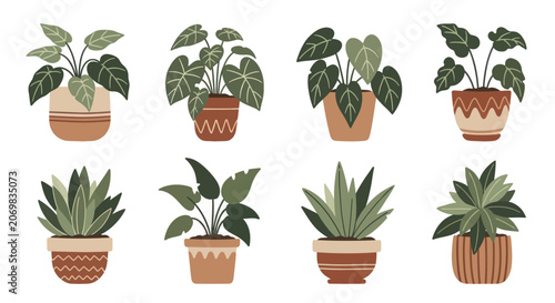 Foto Collection of Potted Houseplants with Decorative Pots.