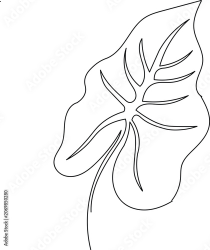 Simple Line Drawing of a Large Leaf plant nature