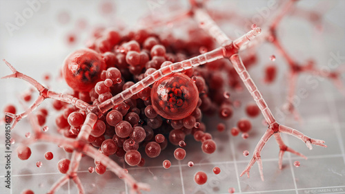 Extreme macro microscopic mold spores and branching fungal filaments, vivid crimson and scarlet tones, laboratory glass slide specimen, scientific diagnostics, ultra detailed microbiology background