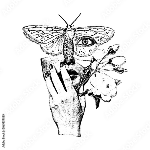 Surreal conceptual illustration with a hand holding a flower and a butterfly on a face butterfly conceptual illustration mystical symbolic feminine botanical abstract monochrome engraving