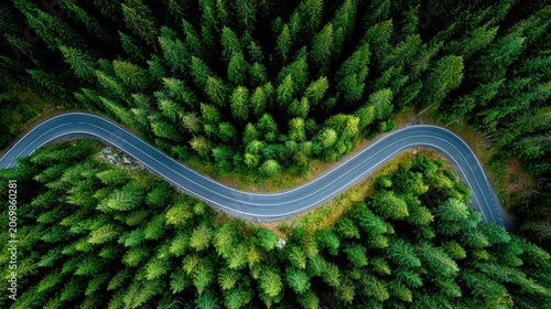 Scenic Aerial View of Winding Road Through Dense Green Forest with Trees and Lush Vegetation in Nature