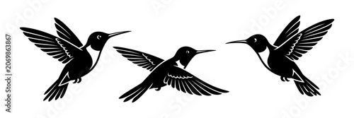 Quadro su tela Stylized black and white flying hummingbird silhouettes in trio set