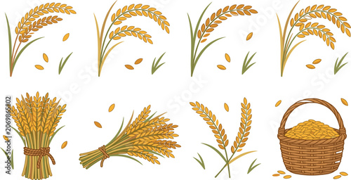 Bild auf Leinwand PrintGolden Rice Ear and Wheat Sheaf Vector Icon Set with Paddy Ears, Basket, Gr