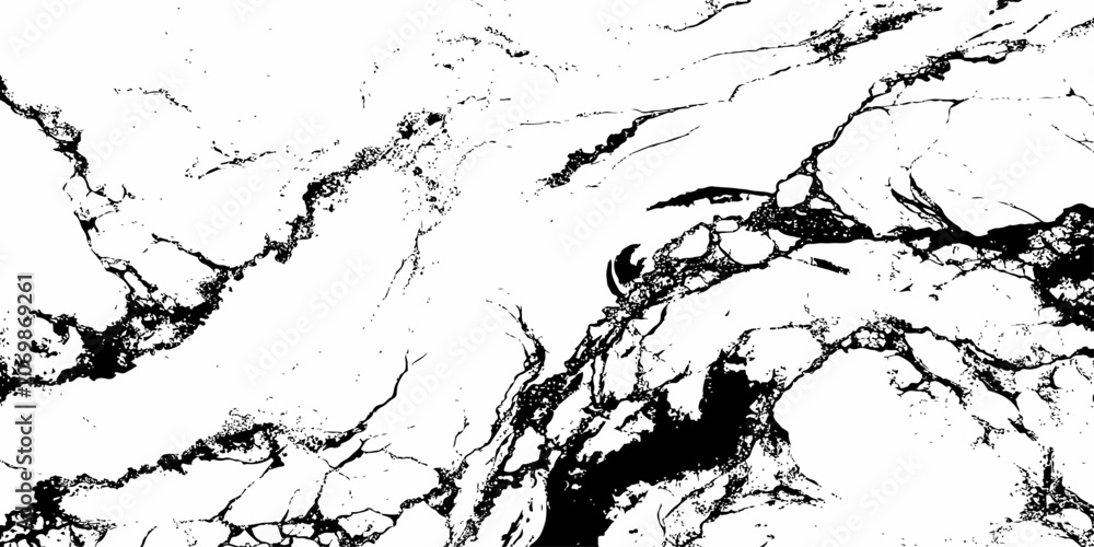 Obraz premium Abstract Luxury Marble Texture Background with Flowing Black Veins and White Stone Surface.