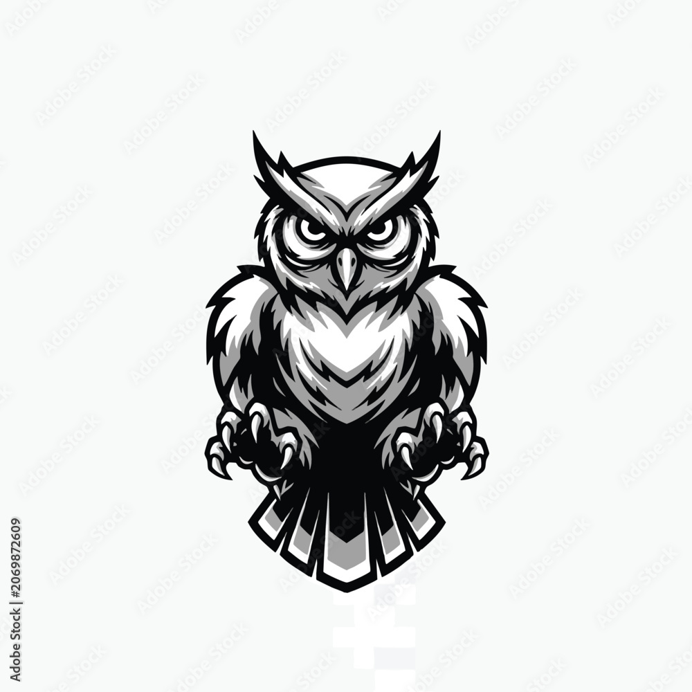 Fototapeta premium Detailed illustration of an owl.
