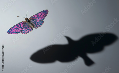 a digital illustration features a monarch butterfly in flight, its wings colored orange with green veins and edges