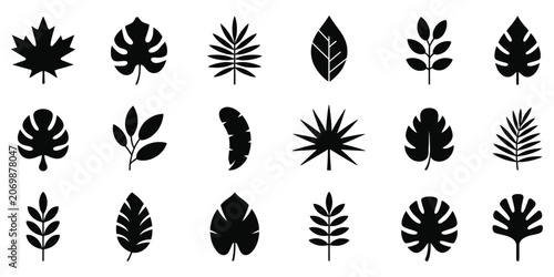 Photos Tropical leaf silhouette set for nature and botanical design, exotic foliage collection isolated on transparent background vector illustration