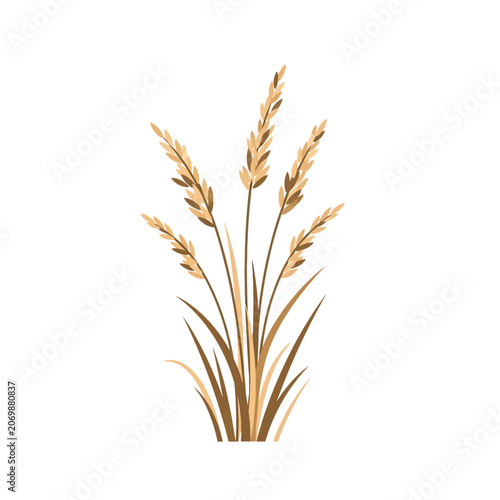 Dry Tall Grass Seeds Vector