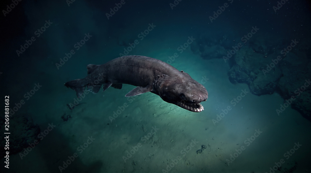 Fototapeta premium Greenland Shark swimming in deep ocean abyss