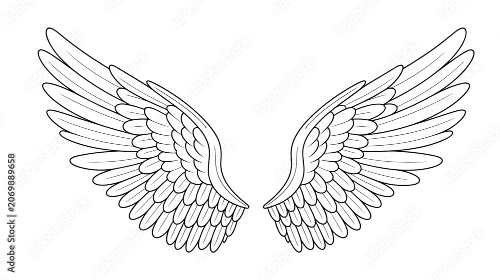 Fototapeta premium Intricate black and white line drawing of a pair of large feathered wings spread wide against a white background.