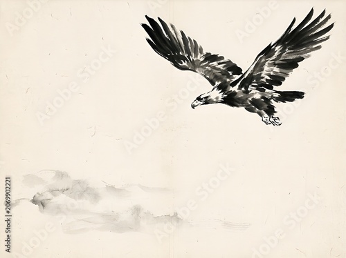 Majestic black and white eagle soaring gracefully through cloudy sky in flight