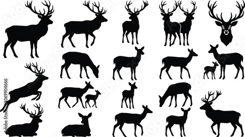 Tableau sur toile Deer silhouettes, black deer icons, deer graphics, wildlife illustrations, 20 de