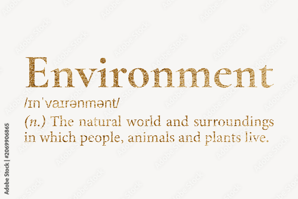 Fototapeta premium Environment definition, gold dictionary word