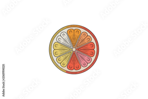 Multicolored citrus fruit slice on png background
