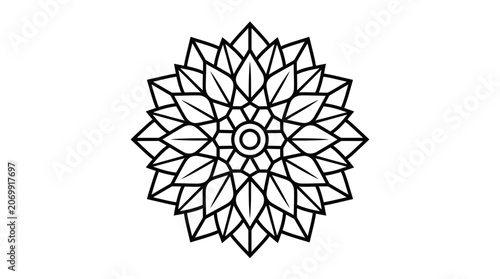 Symmetrical floral mandala pattern with geometric leaf petals